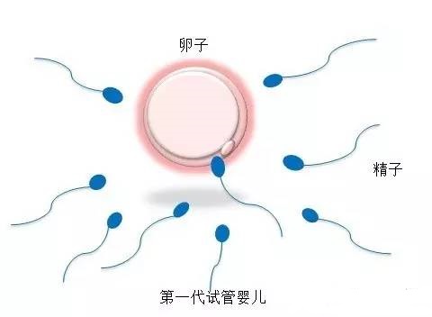 专家肖像